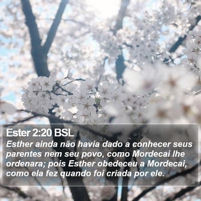 Ester 2:20 BSL Bible Verse Image