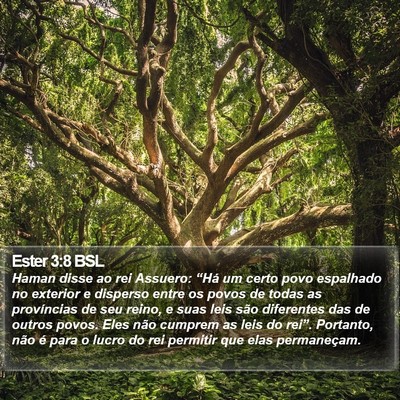 Ester 3:8 BSL Bible Verse Image