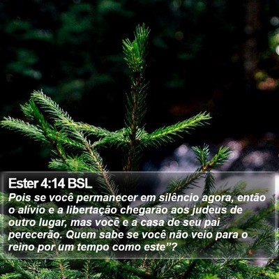 Ester 4:14 BSL Bible Verse Image