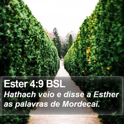 Ester 4:9 BSL Bible Verse Image