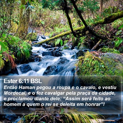 Ester 6:11 BSL Bible Verse Image