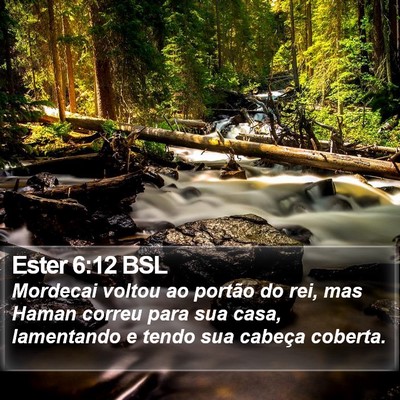 Ester 6:12 BSL Bible Verse Image