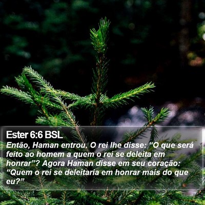 Ester 6:6 BSL Bible Verse Image