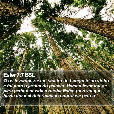 Ester 7:7 BSL Bible Verse Image