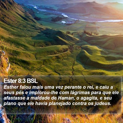 Ester 8:3 BSL Bible Verse Image