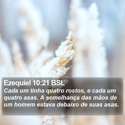 Ezequiel 10:21 BSL Bible Verse Image