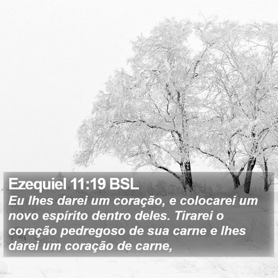 Ezequiel 11:19 BSL Bible Verse Image