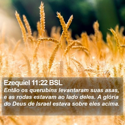 Ezequiel 11:22 BSL Bible Verse Image