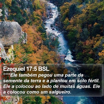 Ezequiel 17:5 BSL Bible Verse Image