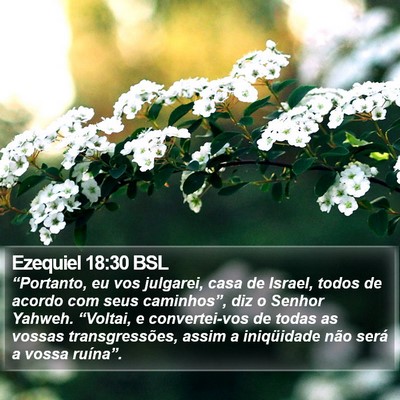 Ezequiel 18:30 BSL Bible Verse Image