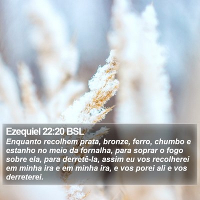 Ezequiel 22:20 BSL Bible Verse Image