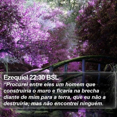 Ezequiel 22:30 BSL Bible Verse Image