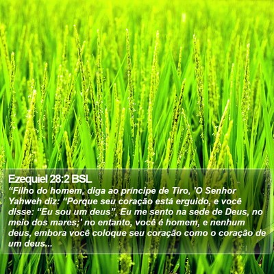 Ezequiel 28:2 BSL Bible Verse Image