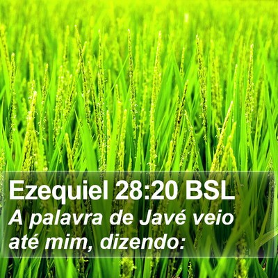 Ezequiel 28:20 BSL Bible Verse Image