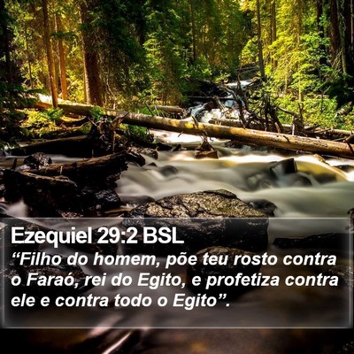 Ezequiel 29:2 BSL Bible Verse Image
