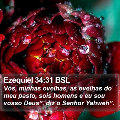 Ezequiel 34:31 BSL Bible Verse Image