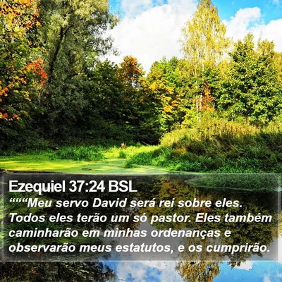 Ezequiel 37:24 BSL Bible Verse Image