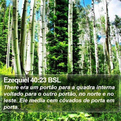 Ezequiel 40:23 BSL Bible Verse Image