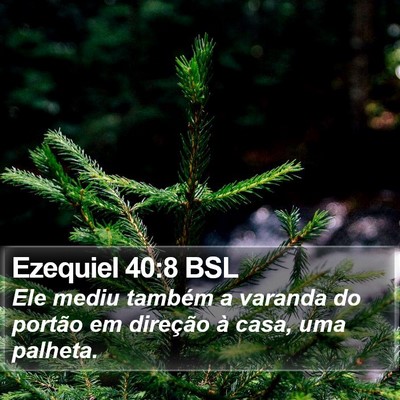 Ezequiel 40:8 BSL Bible Verse Image