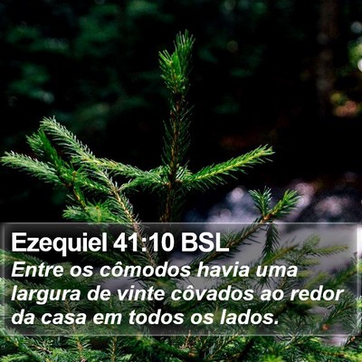Ezequiel 41:10 BSL Bible Verse Image