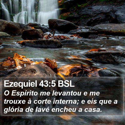 Ezequiel 43:5 BSL Bible Verse Image