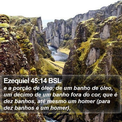 Ezequiel 45:14 BSL Bible Verse Image