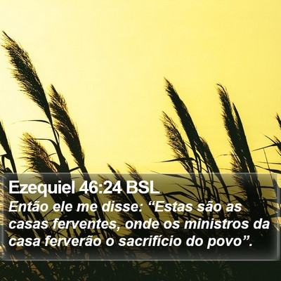 Ezequiel 46:24 BSL Bible Verse Image