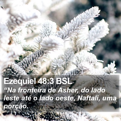 Ezequiel 48:3 BSL Bible Verse Image