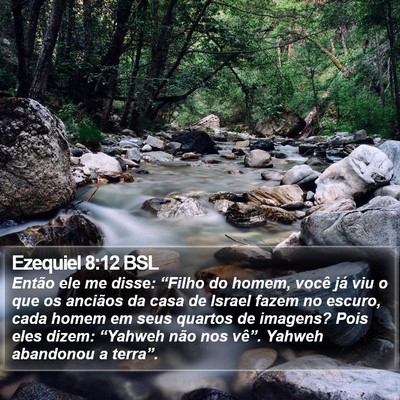 Ezequiel 8:12 BSL Bible Verse Image