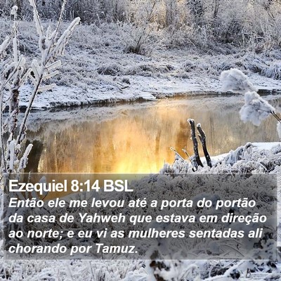 Ezequiel 8:14 BSL Bible Verse Image