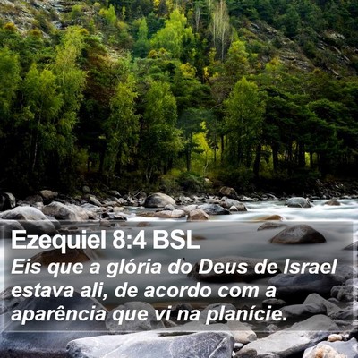 Ezequiel 8:4 BSL Bible Verse Image