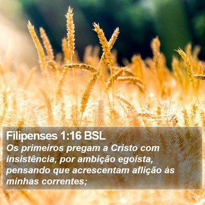 Filipenses 1:16 BSL Bible Verse Image