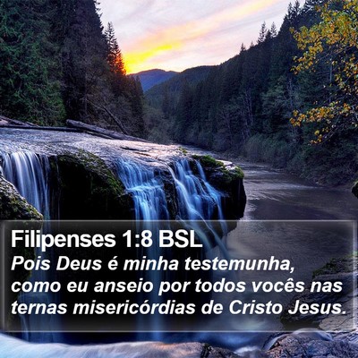 Filipenses 1:8 BSL Bible Verse Image