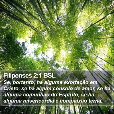 Filipenses 2:1 BSL Bible Verse Image