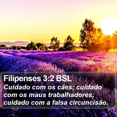 Filipenses 3:2 BSL Bible Verse Image