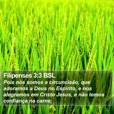 Filipenses 3:3 BSL Bible Verse Image