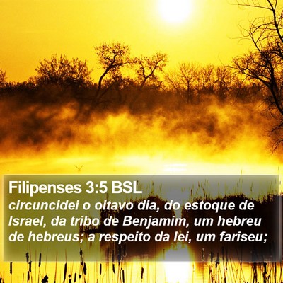 Filipenses 3:5 BSL Bible Verse Image