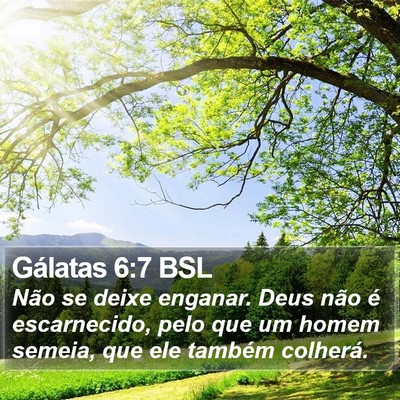 Gálatas 6:7 BSL Bible Verse Image