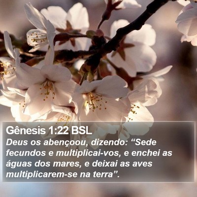 Gênesis 1:22 BSL Bible Verse Image