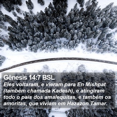 Gênesis 14:7 BSL Bible Verse Image