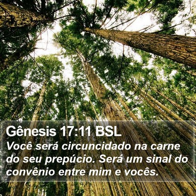 Gênesis 17:11 BSL Bible Verse Image