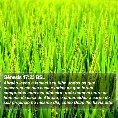 Gênesis 17:23 BSL Bible Verse Image