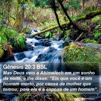 Gênesis 20:3 BSL Bible Verse Image