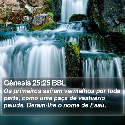 Gênesis 25:25 BSL Bible Verse Image