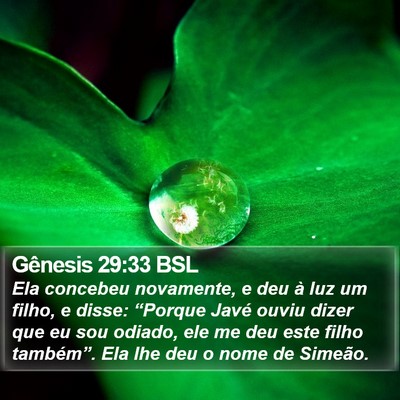 Gênesis 29:33 BSL Bible Verse Image