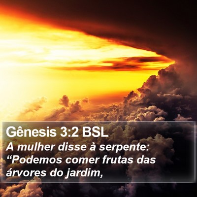 Gênesis 3:2 BSL Bible Verse Image