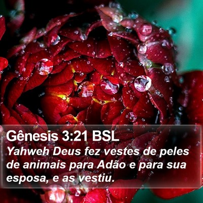 Gênesis 3:21 BSL Bible Verse Image