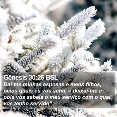 Gênesis 30:26 BSL Bible Verse Image
