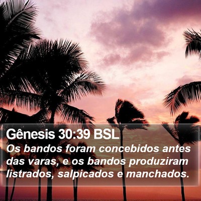 Gênesis 30:39 BSL Bible Verse Image