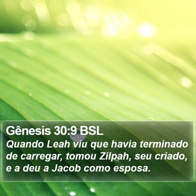 Gênesis 30:9 BSL Bible Verse Image